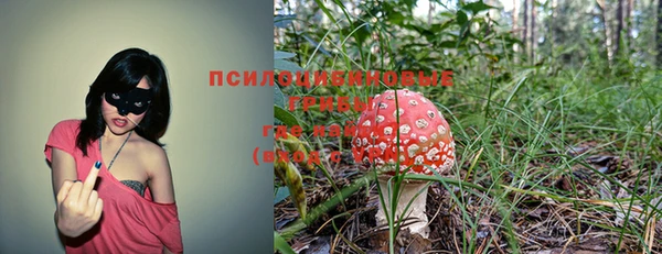 альфа пвп Верхнеуральск