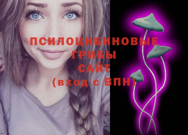 ГАЛЛЮЦИНОГЕННЫЕ ГРИБЫ Верхний Тагил