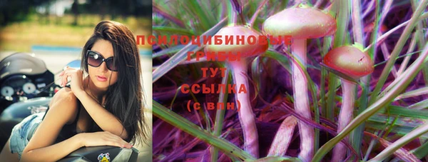 ГАЛЛЮЦИНОГЕННЫЕ ГРИБЫ Верхний Тагил
