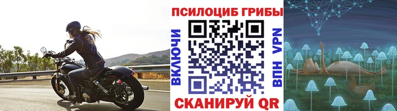 hydra как зайти  Отрадный  Псилоцибиновые грибы GOLDEN TEACHER 